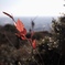 山頂から