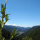 山