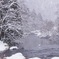 雪降る渓流