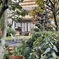 20241203松山市91