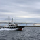 3G9A8484_hp