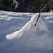 大雪のあと