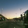 朝へ向かう車の群れ
