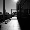 Sunbeams and shadow