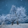 IMG_20250111_123834