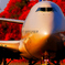 SKYTEAMのB747