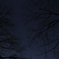 2025/01/11_星空_あきる野