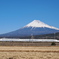 富士山と新幹線
