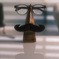 my glasses & stand