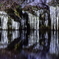 Ice symmetry