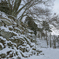 城に降る雪は
