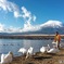 山中湖のほとりで白鳥に餌をあげるスタッフ