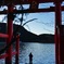 箱根神社の平和の鳥居で参拝している人