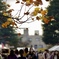 学園祭