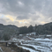 ヒロインは、雪