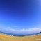 のどかな海