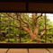宝泉院の庭園