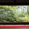 宝泉院の庭園