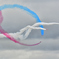 RAF Red Arrows (2)