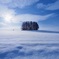 雪の質感
