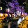 夜の北新地