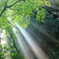 光芒