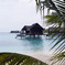 Maldives