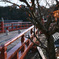 喜撰橋