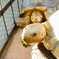 動物園