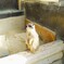 動物園
