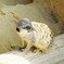 動物園