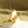 動物園