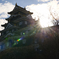 曙 岡山城