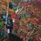 東郷公園