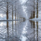 reflection
