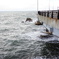 風景写真　DSC00378