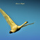 Swans in Shinjiko 2025 - 6