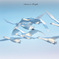 Swans in Shinjiko 2025 - 7