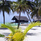 Maldives