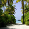 Maldives