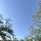 空を隔てたコントラスト