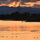 多々良沼の夕景