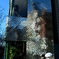 Reflection