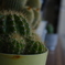 DSCF0038