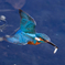 DSC_6606_DxO