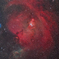NGC2264_2025.01.04