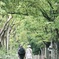 夫婦円満