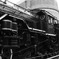 D51 231