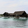 Maldives
