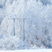 アナ雪の世界